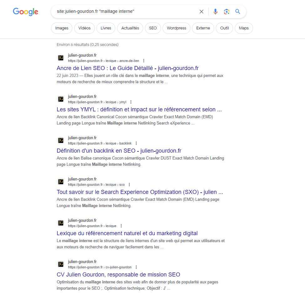 capture d'écran de la page de résultats de Google sur la commande `site:julien-gourdon.fr 'maillage interne' 