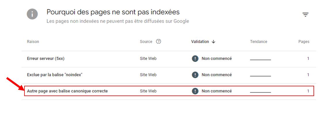 capture d'écran de la Search Console montrant les autres pages du site avec une balise canonique correcte